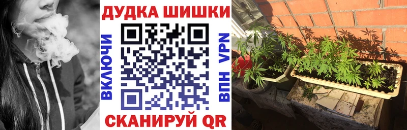 Бошки Шишки MAZAR  Купить закладки  Каспийск 